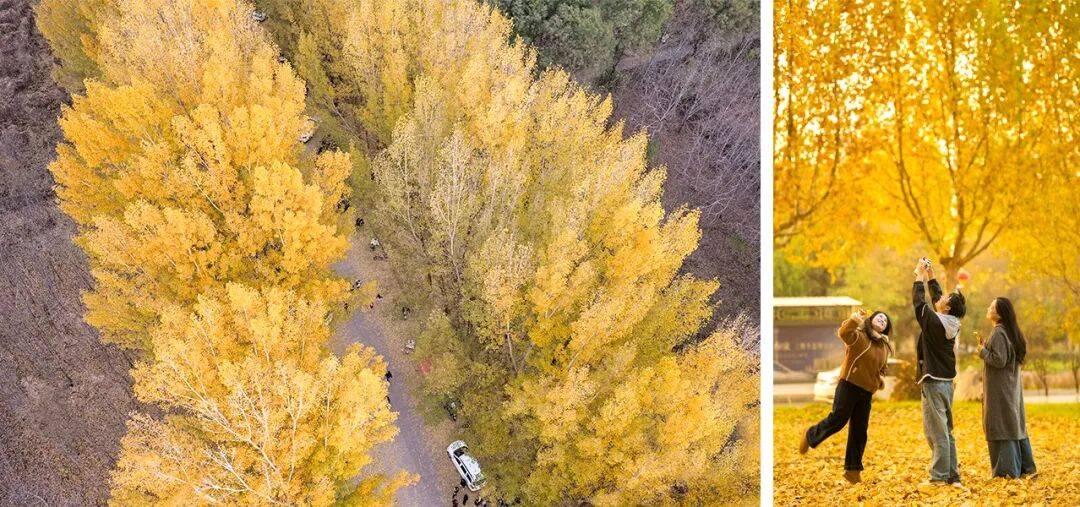 播电视报》2025年第46期PG麻将胡了