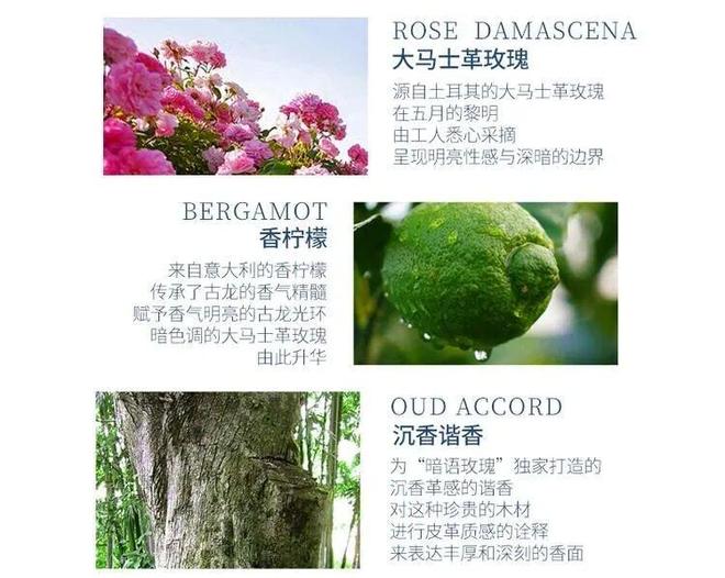 、身体炸划算还有节日限定香薰、香包麻将胡了网址香香好物丨欧珑正装香水(图14)