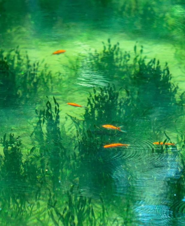 、身体炸划算还有节日限定香薰、香包麻将胡了网址香香好物丨欧珑正装香水(图35)